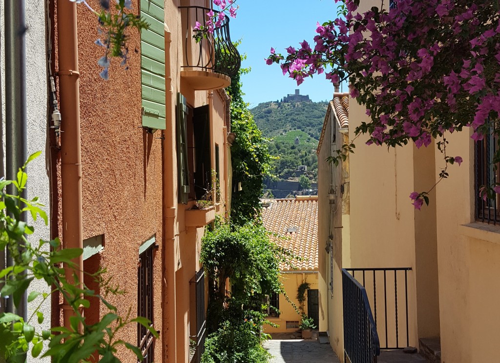 Balade à Collioure