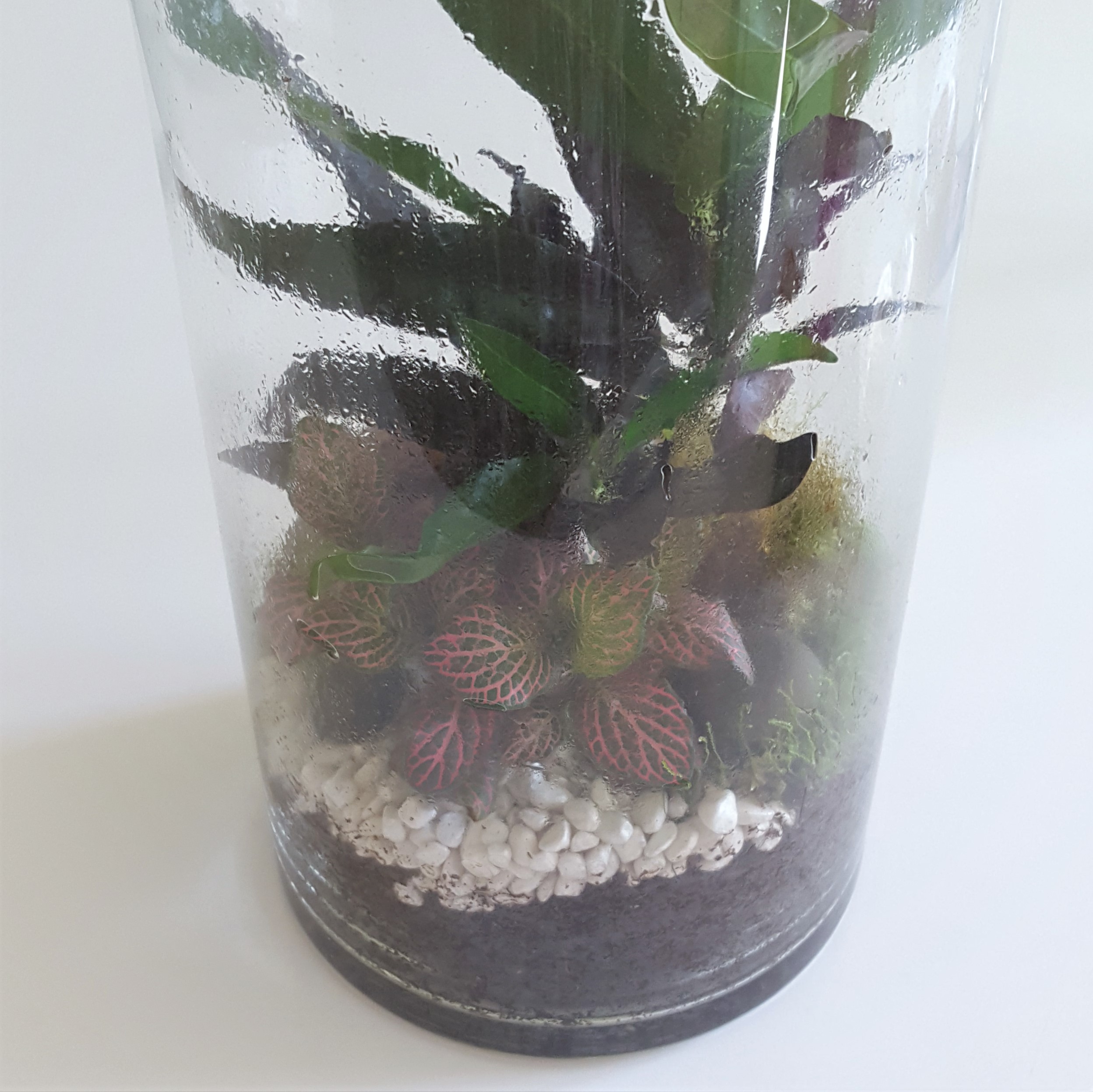 ecosysteme-miniature10