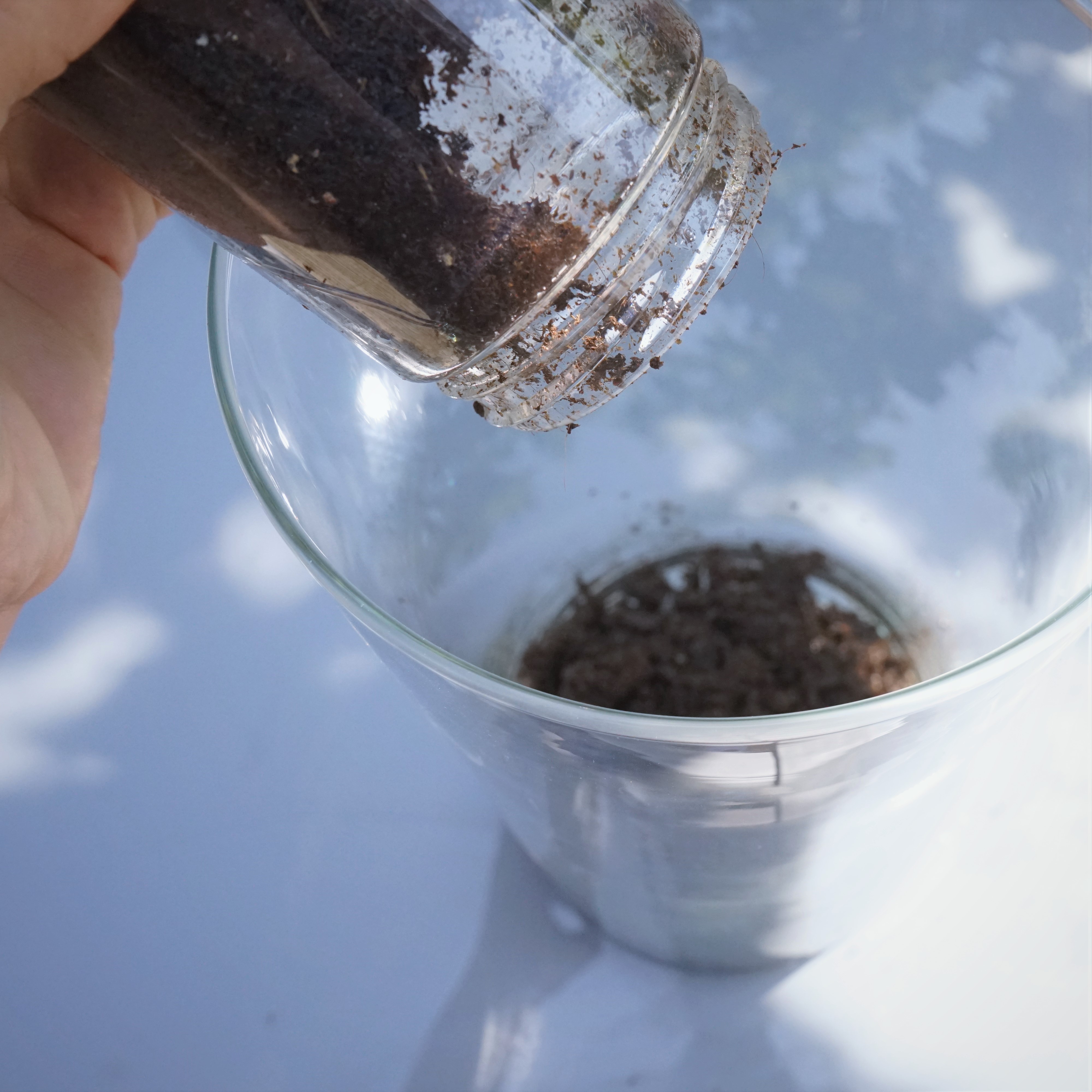 ecosysteme-miniature2