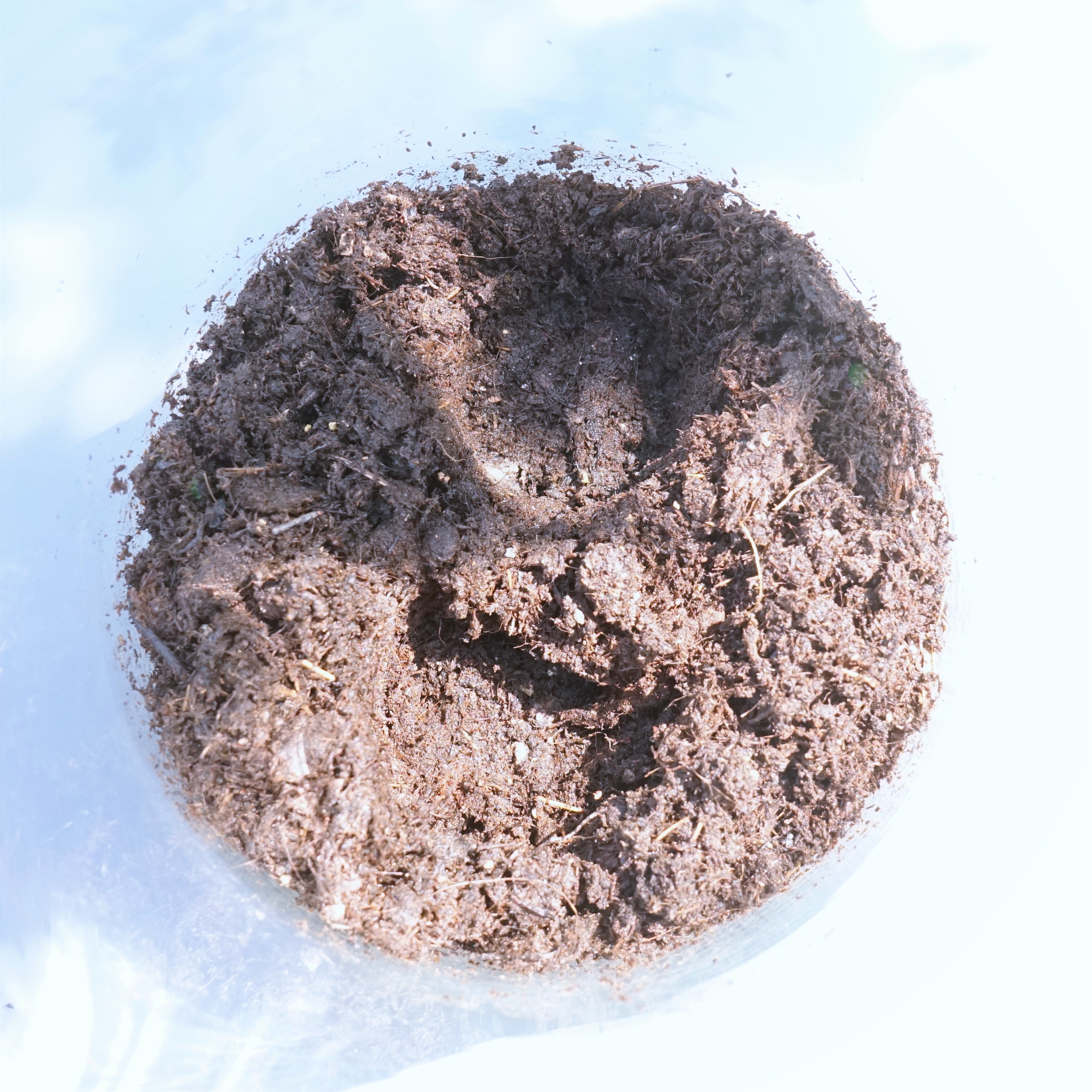 ecosysteme-miniature3