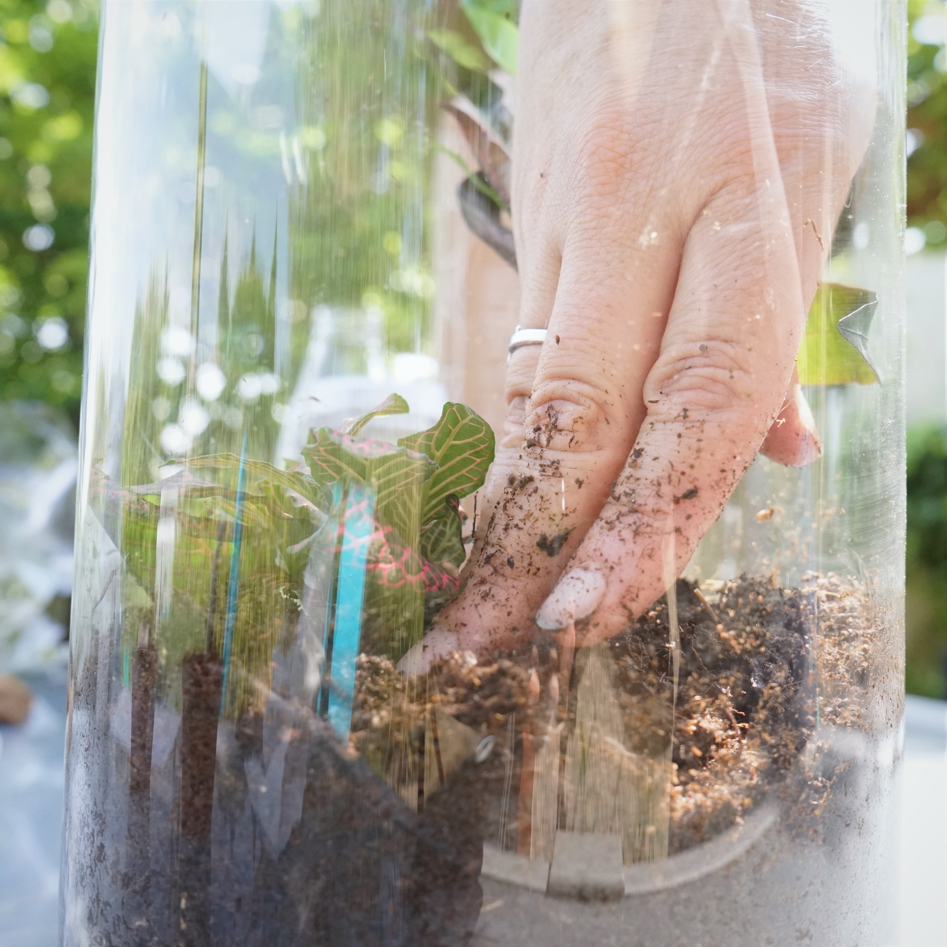 ecosysteme-miniature4