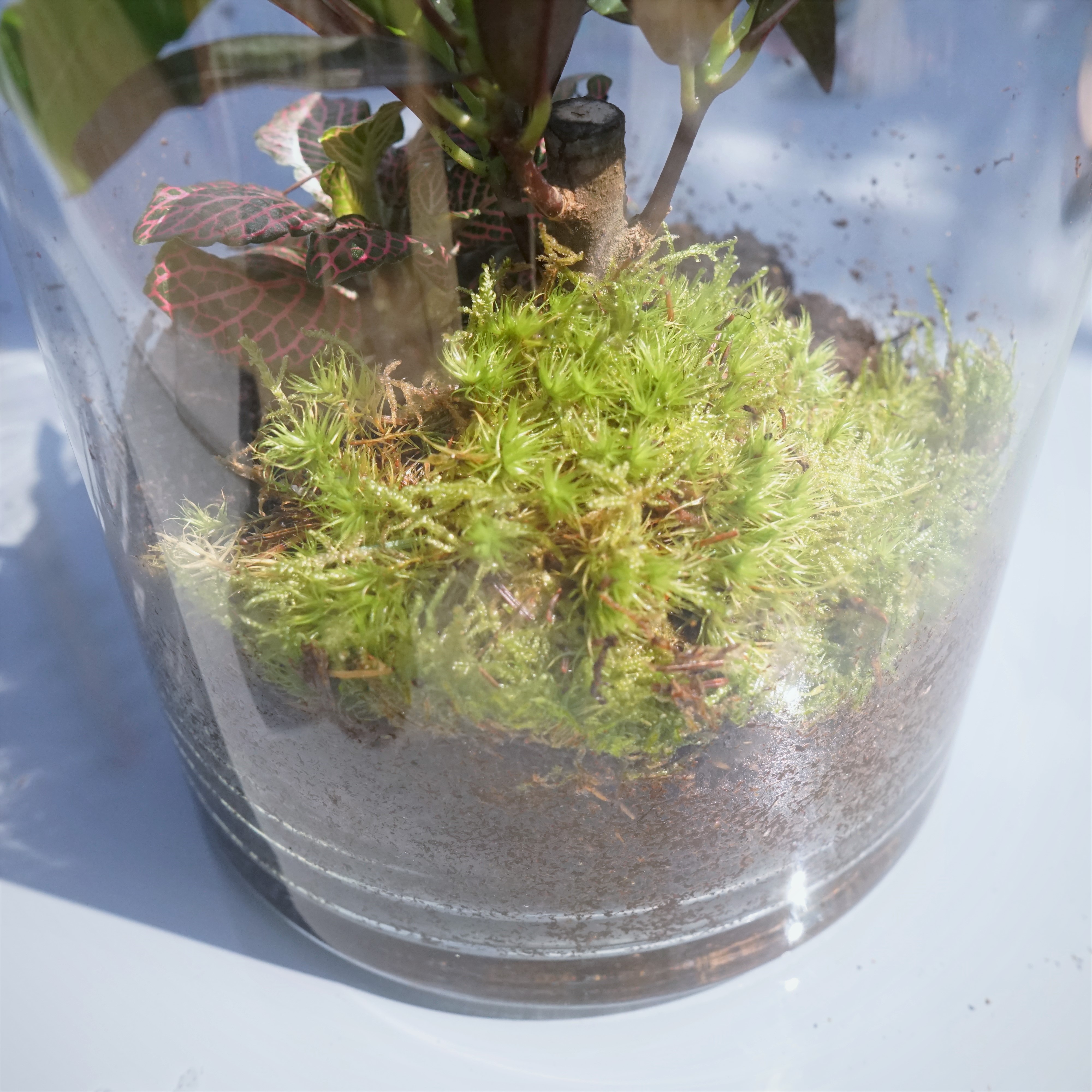 ecosysteme-miniature5