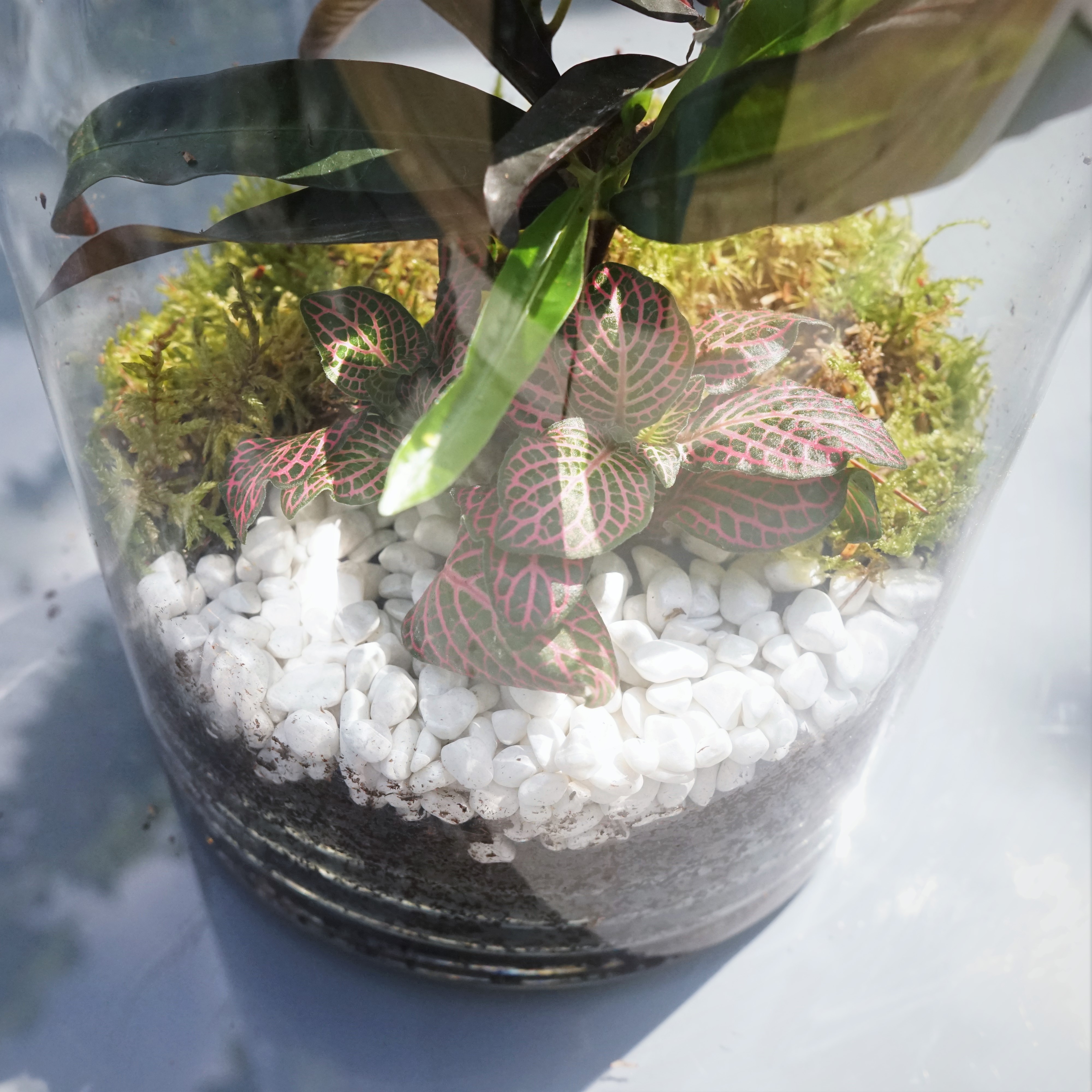 ecosysteme-miniature6