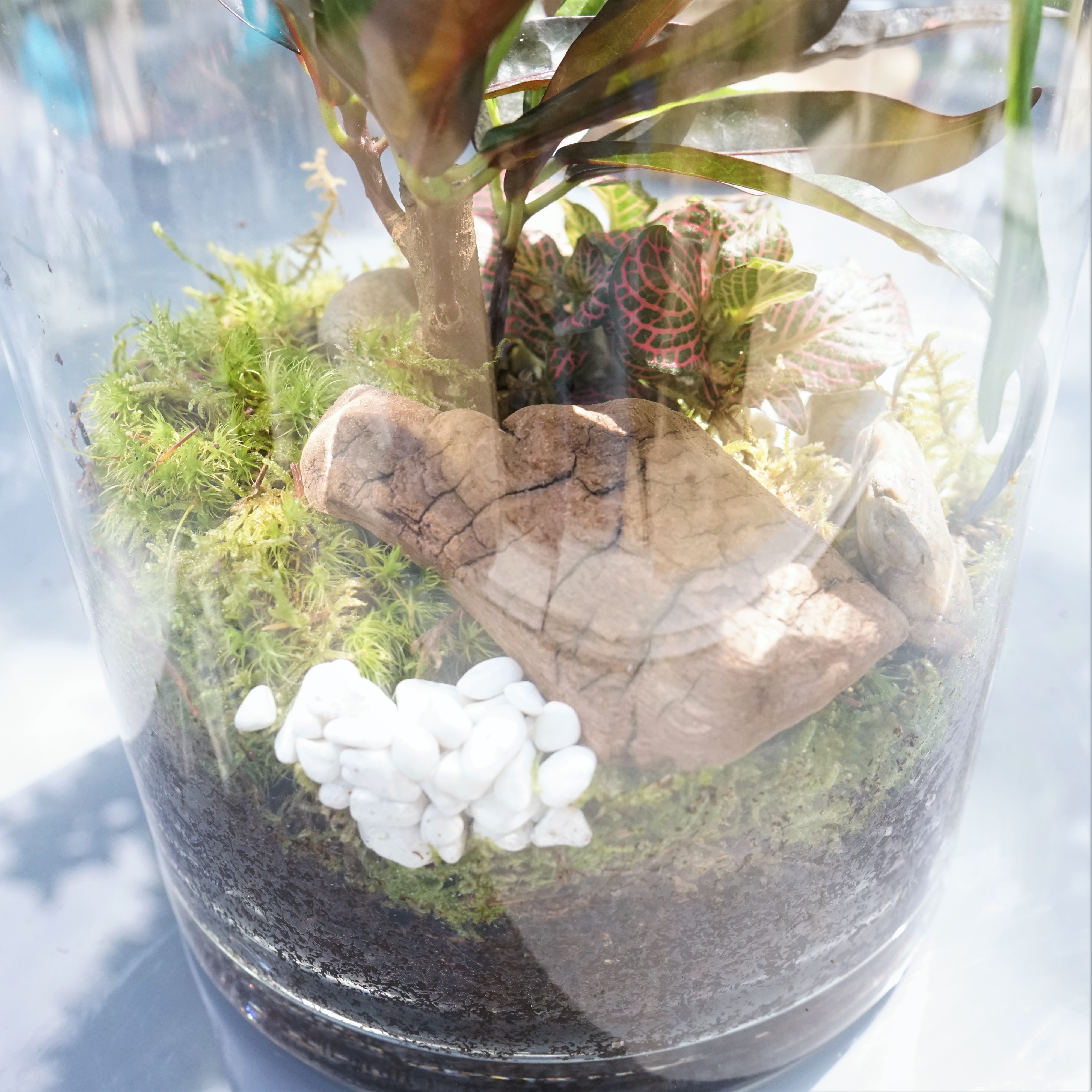 ecosysteme-miniature7