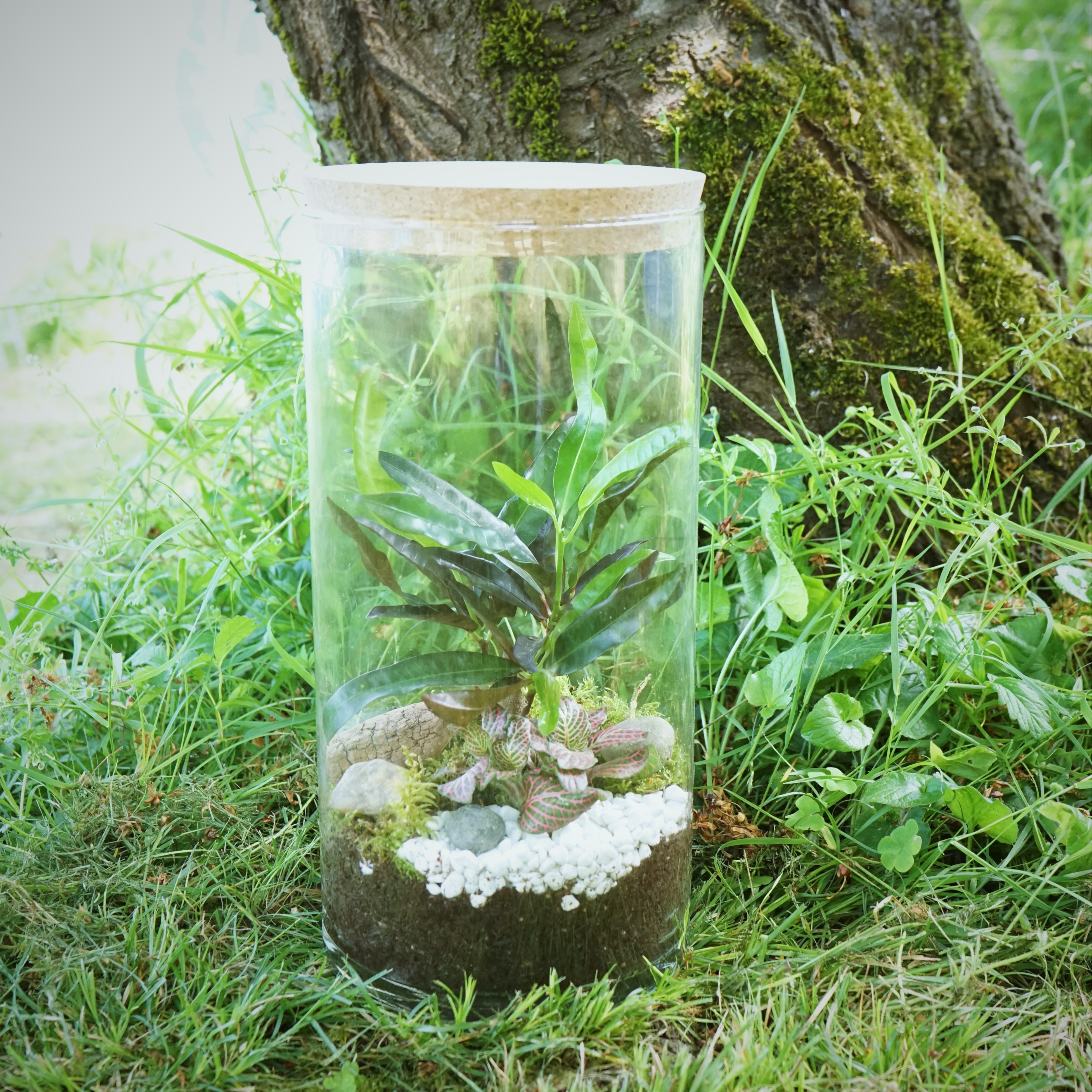 ecosysteme-miniature8