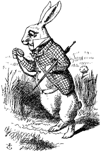 Down_the_Rabbit_Hole