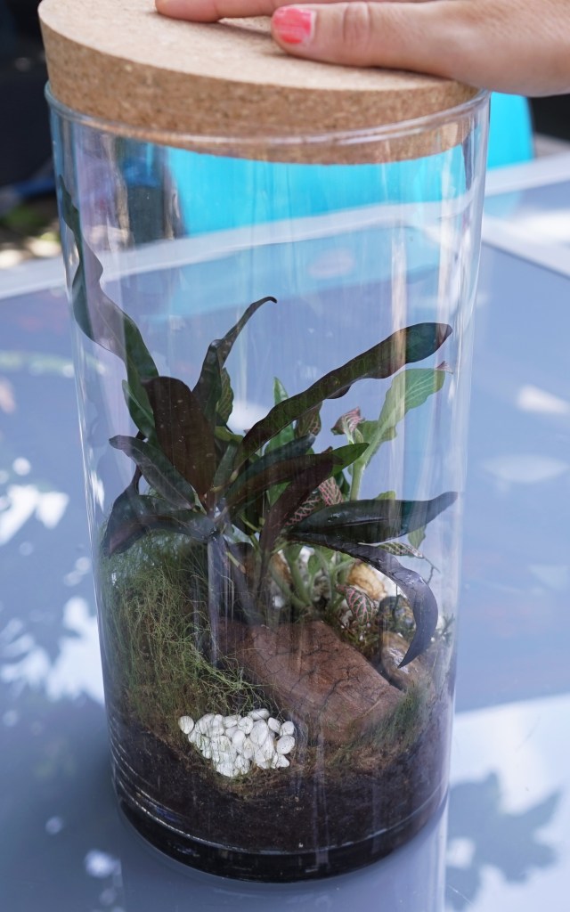 écosystème +1 (10)